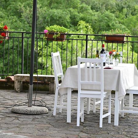 Agriturismo Le Capanne San Dalmazio Ngoại thất bức ảnh